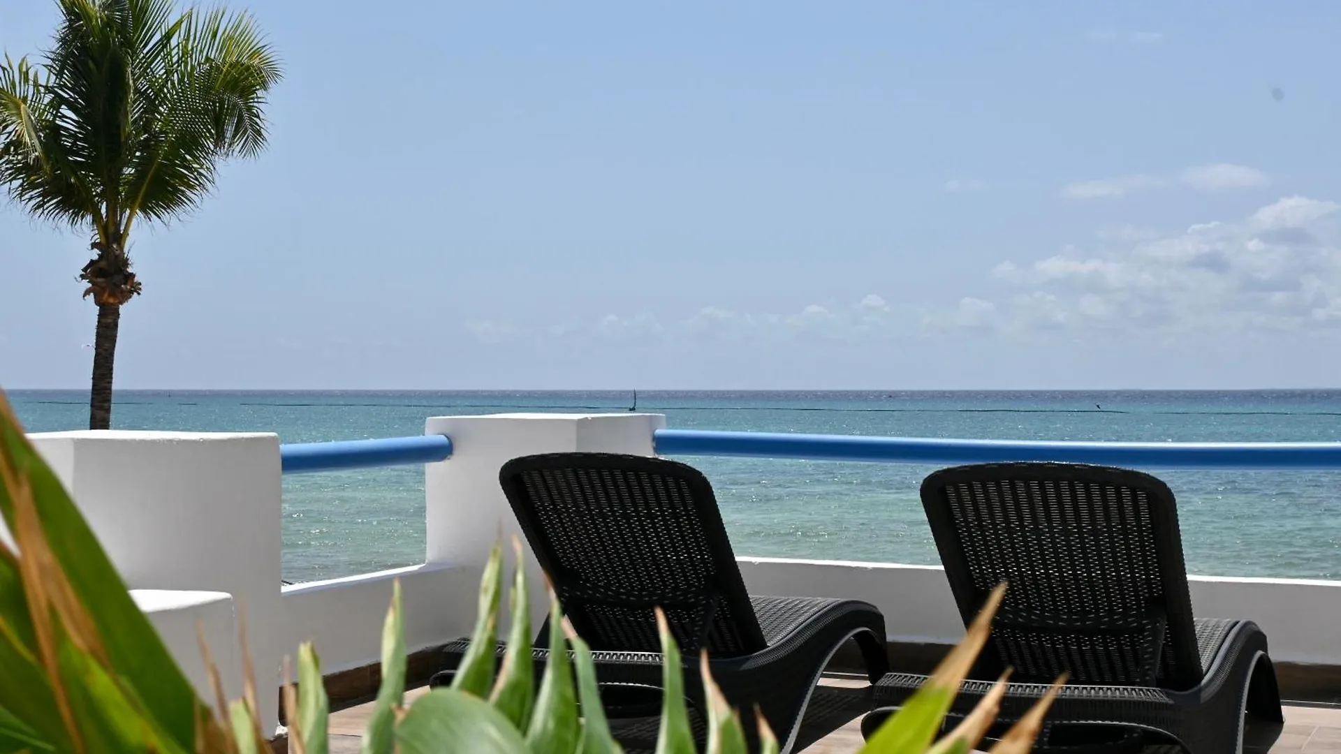 Pelicano Inn Playa Del Carmen - Beachfront Hotel