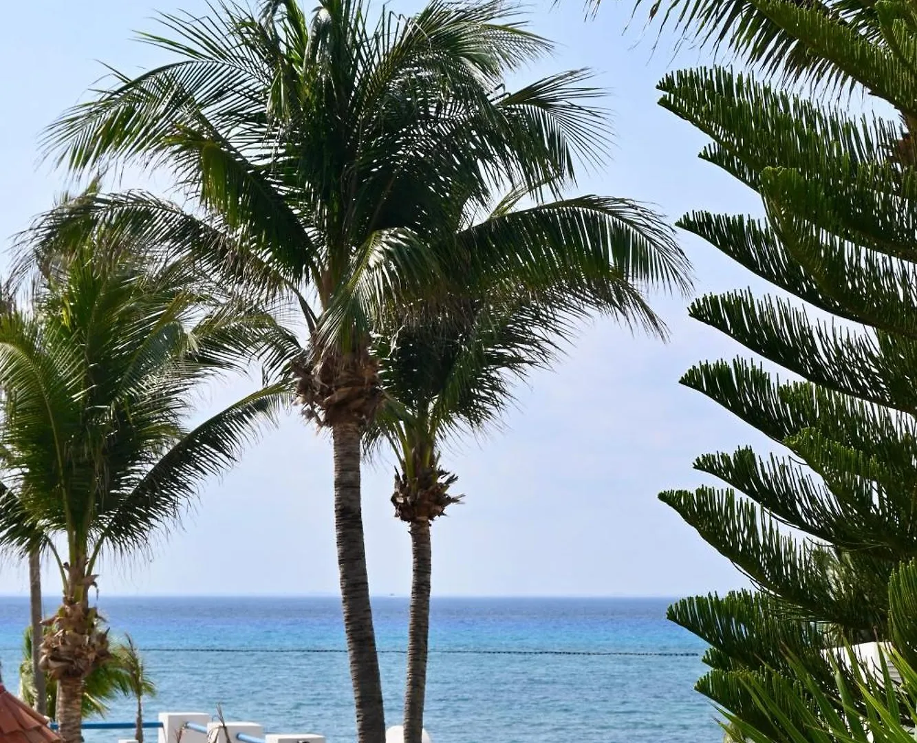 Pelicano Inn Playa Del Carmen - Beachfront Hotel