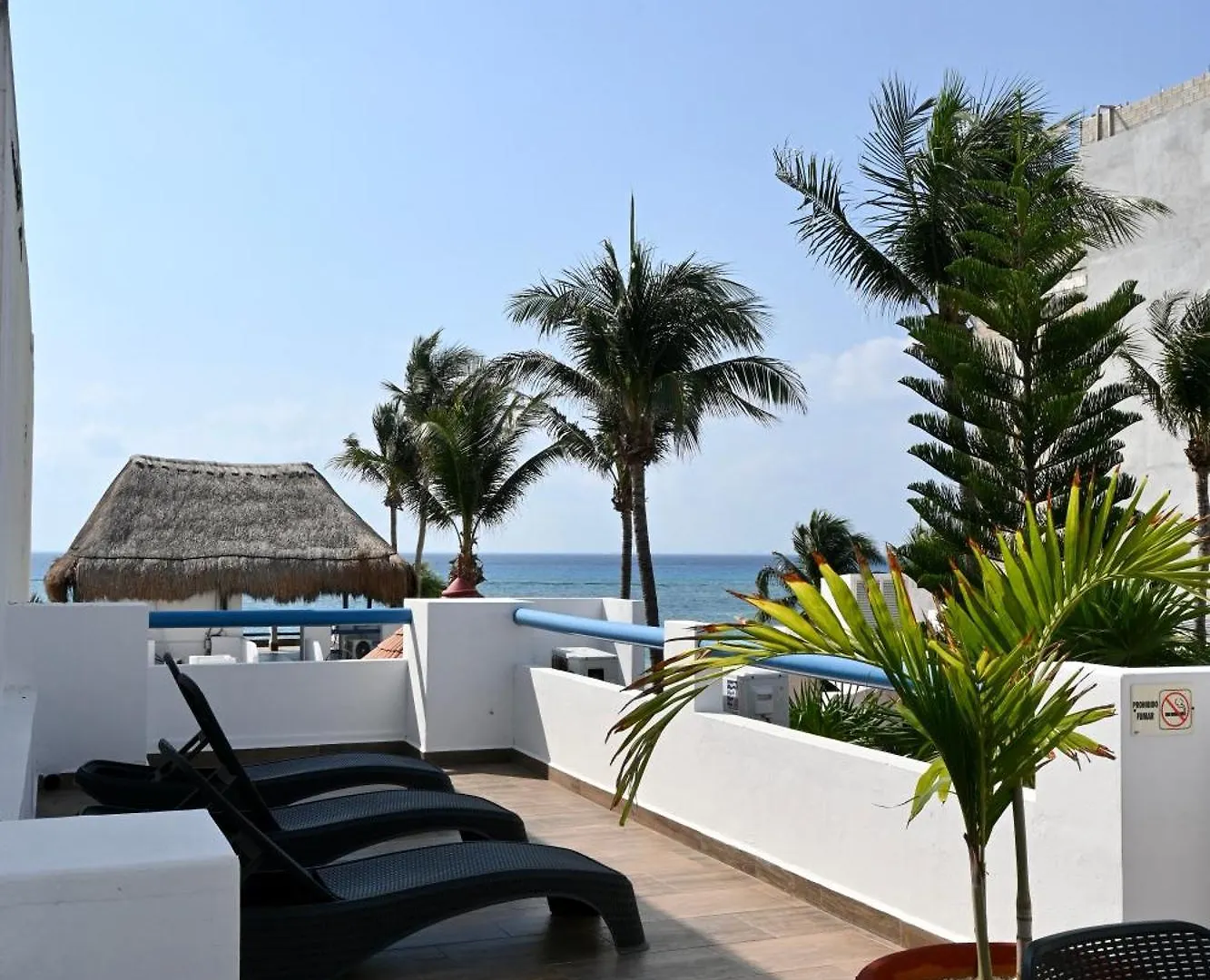 Pelicano Inn Playa Del Carmen - Beachfront Hotel 3*,  Mexiko